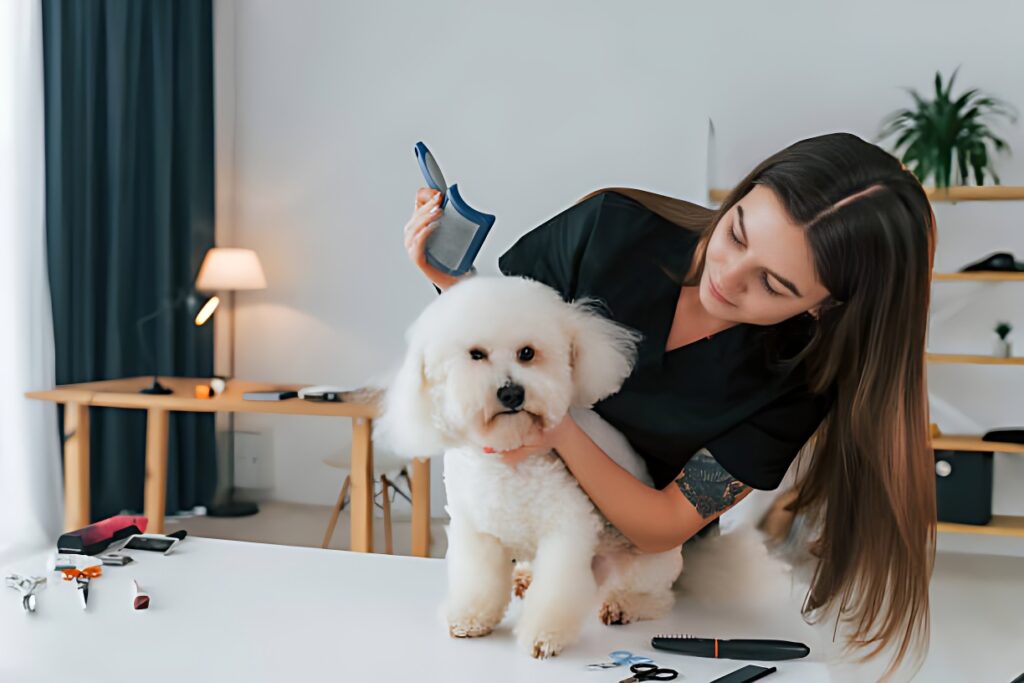 From Fuzzy to Fabulous: Transforming Your Dog’s Appearance with Professional Grooming Services
