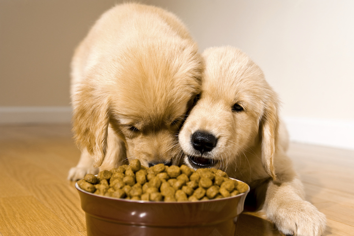 Pet Foods