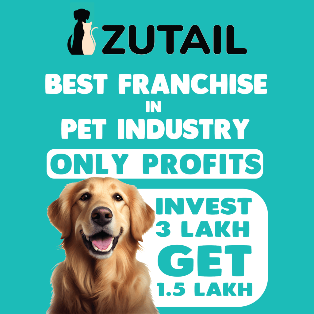 Best pet grooming home service 1 Door grooming pet near me